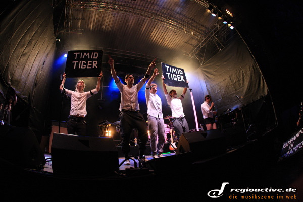 Timid Tiger (live auf dem Sound of the Forest Festival-Samstag 2010)